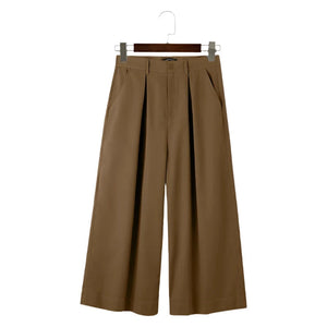 The Theron Loose Fit Pleated Pants VOIR 